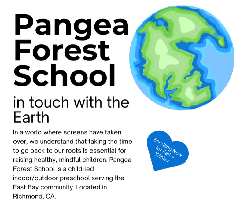 Description of Pangea Forest School in Richmond, California,  in the East Bay which has very similar holistic play-based learning.